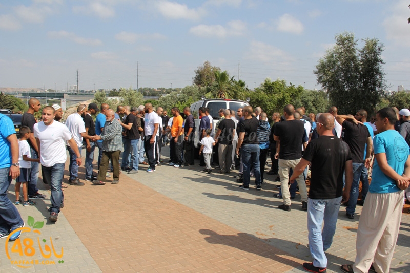 tasheey3 jamal pbpobaly (4).JPG